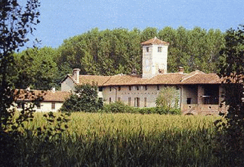 Idraulico Torre d'Isola: 335.6672103